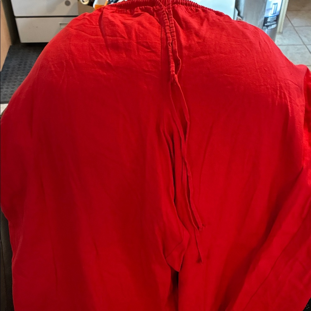 Wild Fable Bold Scarlet Pants - Picture 3 of 3